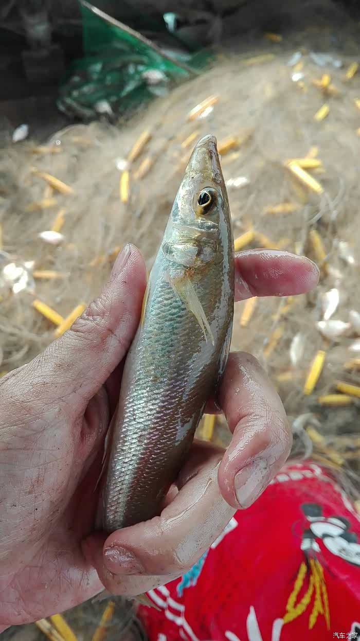 日行千里,吃鲜看海(5.1广西行)