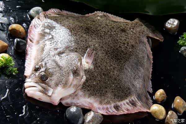 【你好2021】牛年大吉美食天地之鹅黄肉