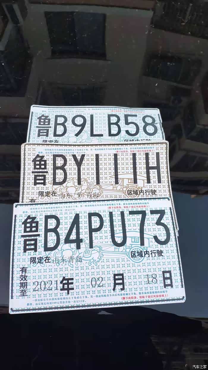 你好2021进击的小坦克小坦克海边撒欢庆祝终于告别临牌