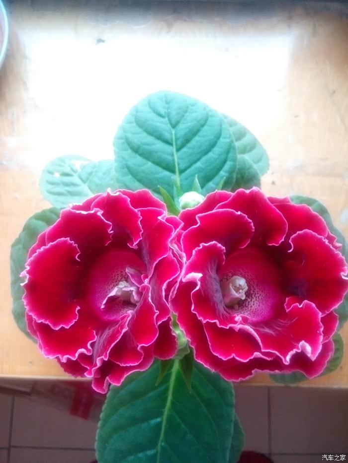 等等等等等等等等…