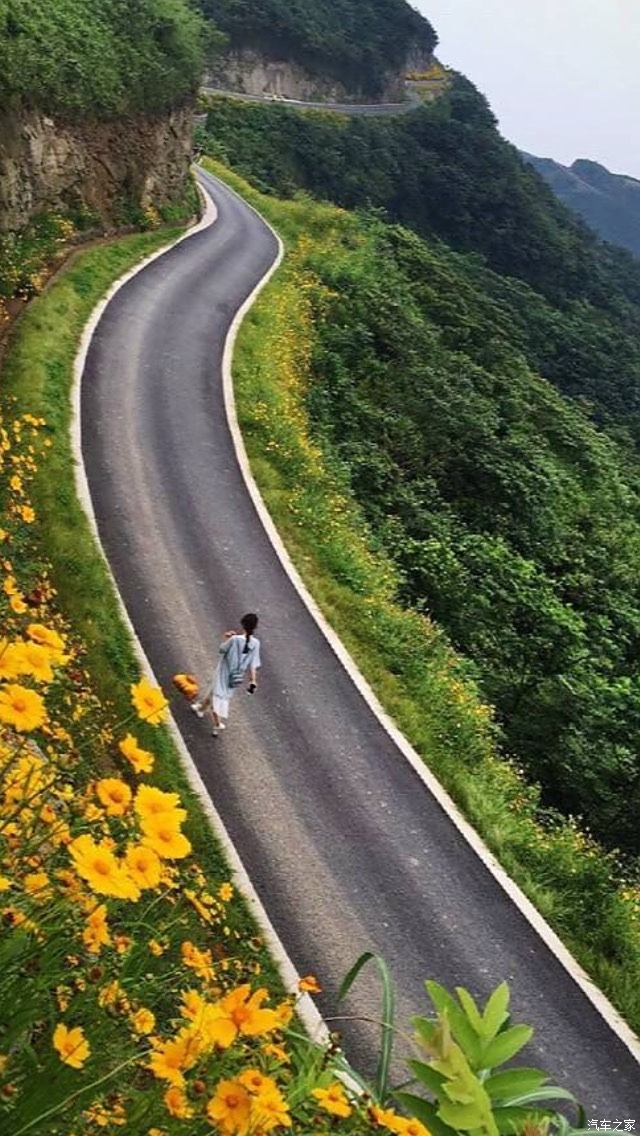 【图】阿拉宁波最美的风车公路