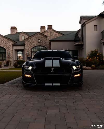 一匹帅气的野马shelby gt500