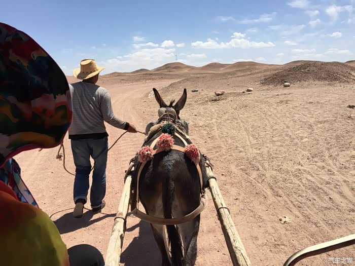 坐驴车