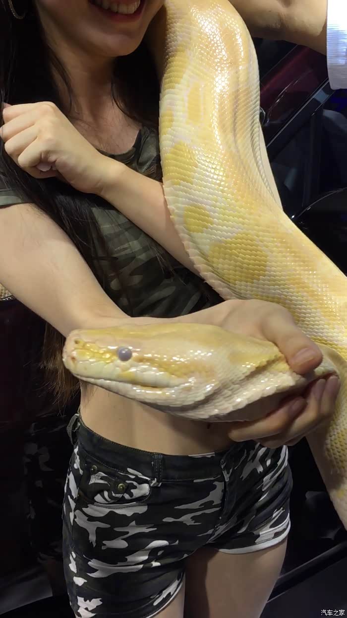 看美女与蛇美不美她说不要怕图多多