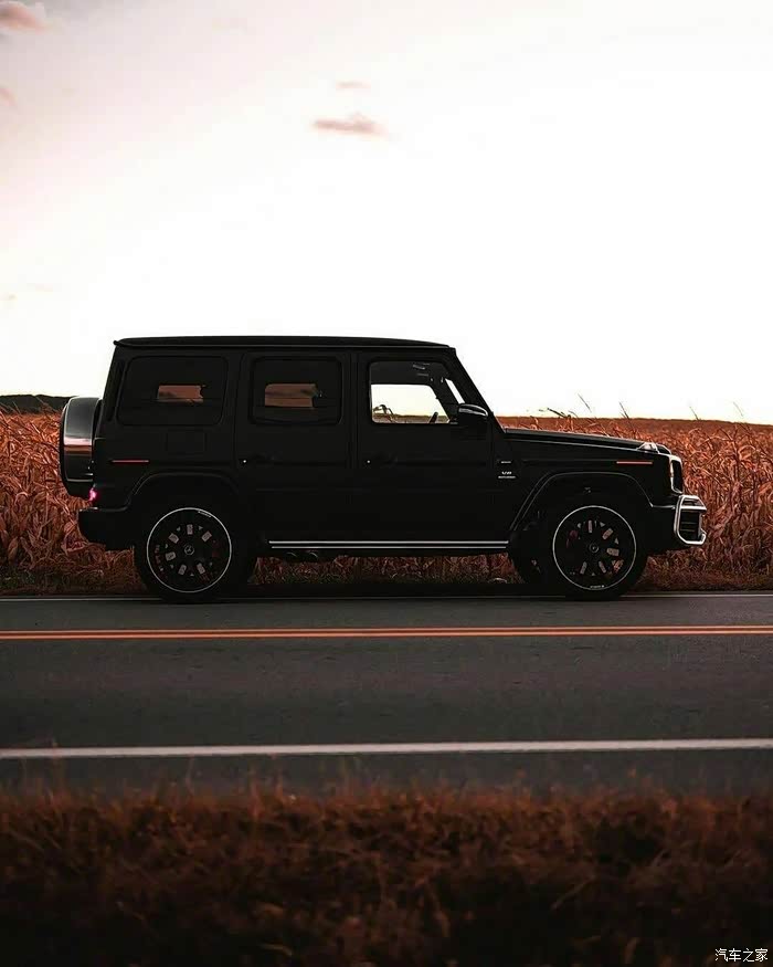 一枚漂亮的黑色大g