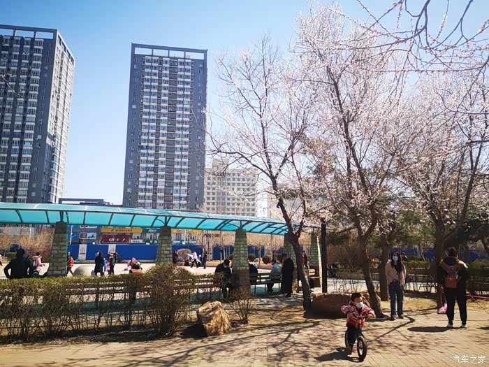 万物复苏送福利沈阳兴华公园202104