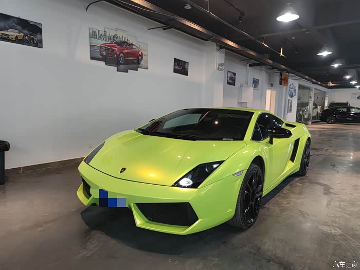 很高兴在武汉见到一代小牛盖拉多gallardo