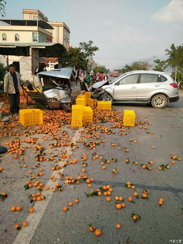 满地的沙糖桔,附近的乡亲们都过来围观,到少有人去捡人家的橘子