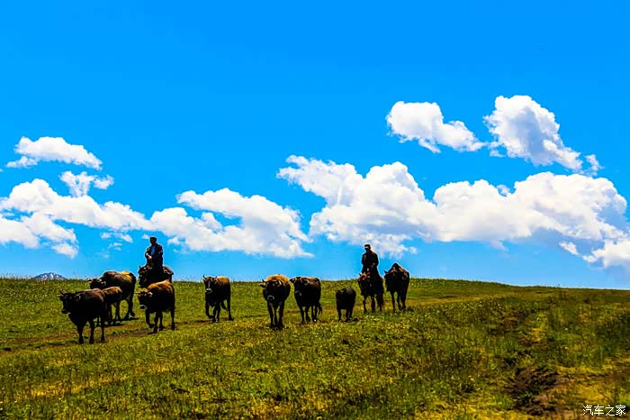 2016老三床车再出发 36天自炊自乐醉美新疆大环游