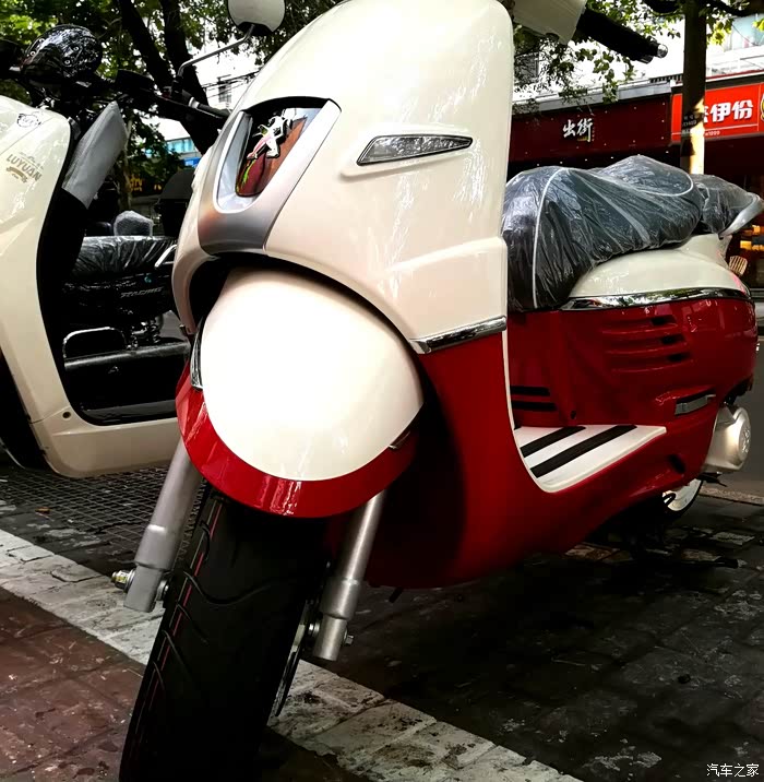 红玫瑰遇上白月光我的姜戈150