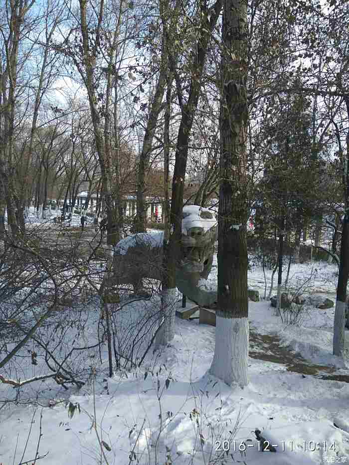 遼逸會閒來無事兜兜風虎石臺公園雪景