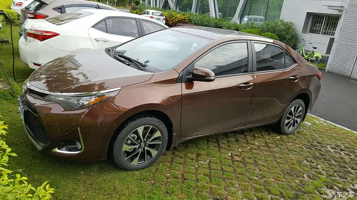 有没有人提棕色185t