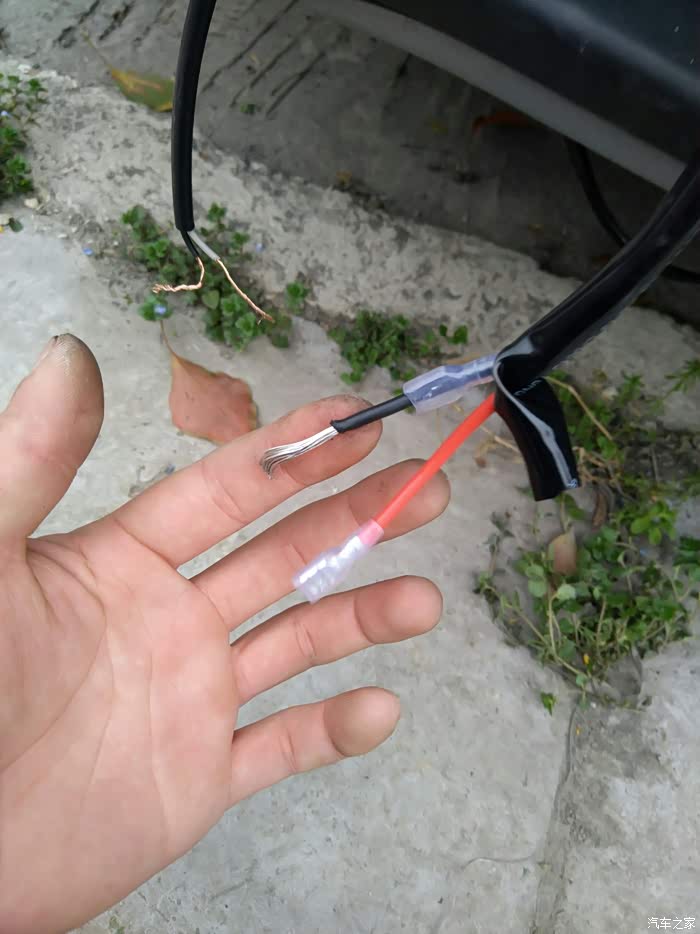 无锡祺兵团粗暴哥加装宇宙第一杀狗神器我是良民只针对远光狗