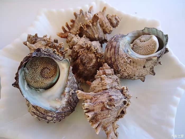 去渔家吃肥美的海鲜吃到肚撑,才算枉次东极岛.八角螺.