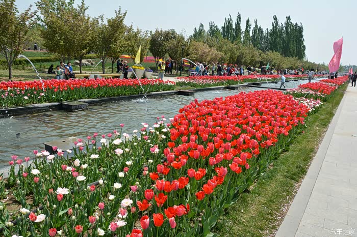 北京国际鲜花港一日游