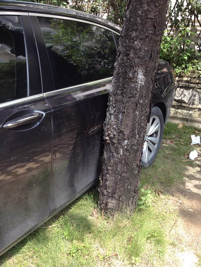 昨天我的车刮蹭树上了,今天看到隔几个车位有辆bmw这样了,我就想知道