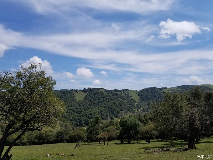 激情夏日隴縣高寒川老爺嶺關山牧場遊記