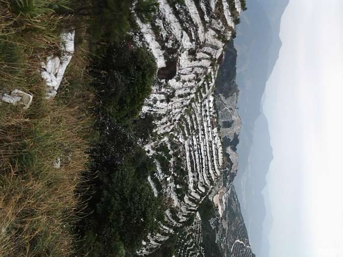 高冷豔麗冰雪景潮州鳳凰山