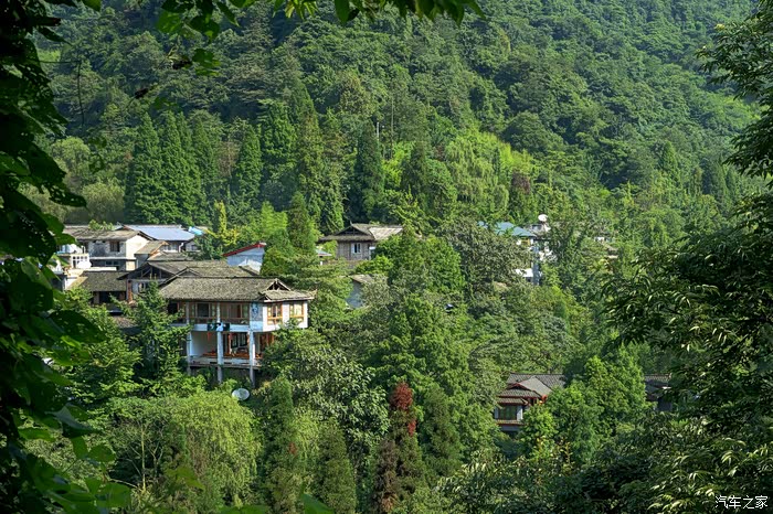 自驾成都(二)纳凉青城山