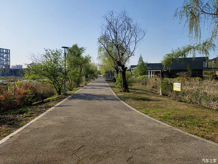 春天里的官林公园