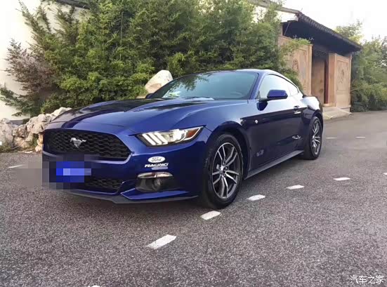 从此将带它征服一片新的"草原"_野马f19论坛_汽车之家论坛