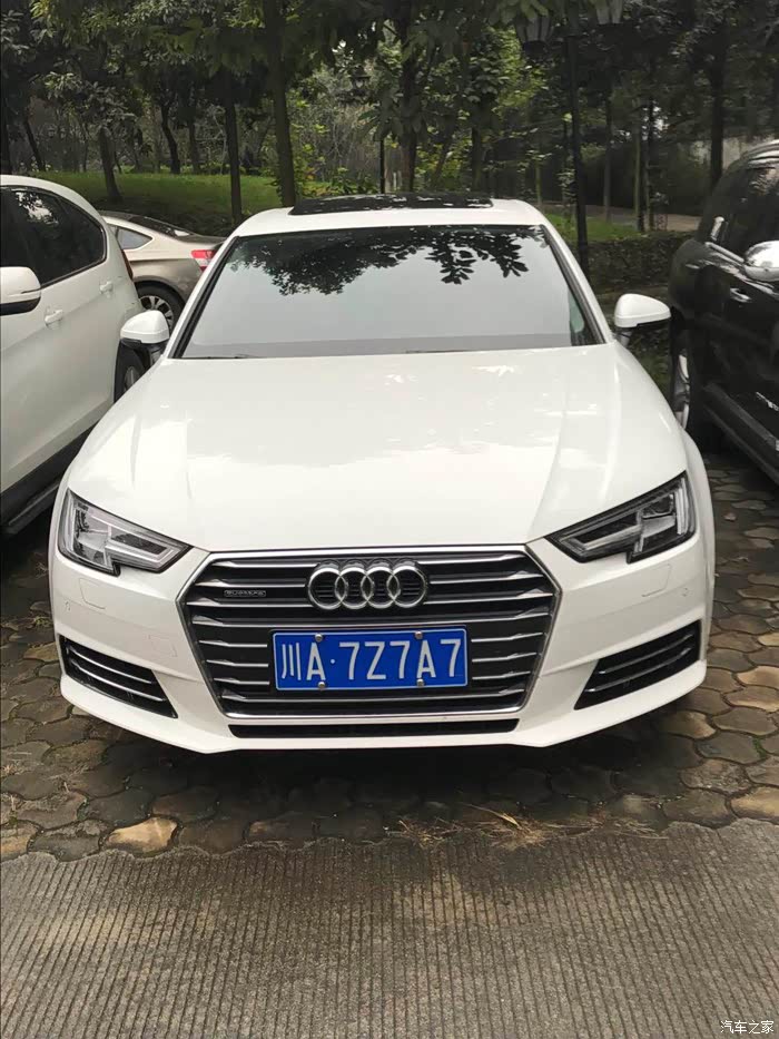 【图】潜水这么久了,我也来交个作业(成都)_奥迪a4l论坛_汽车之家论坛