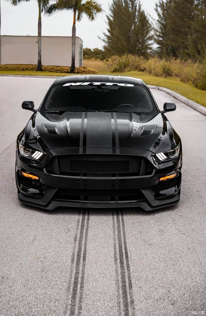【图】黢黑黢黑的大野马,轻松跑天下!帅!_mustang论坛_汽车之家论坛