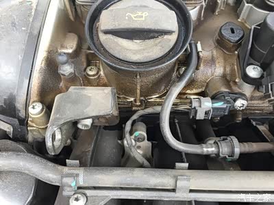 大众迈腾烧机油严重一汽大众欺骗消费者