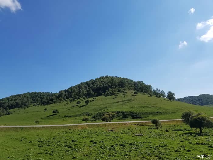 激情夏日陇县高寒川老爷岭关山牧场游记