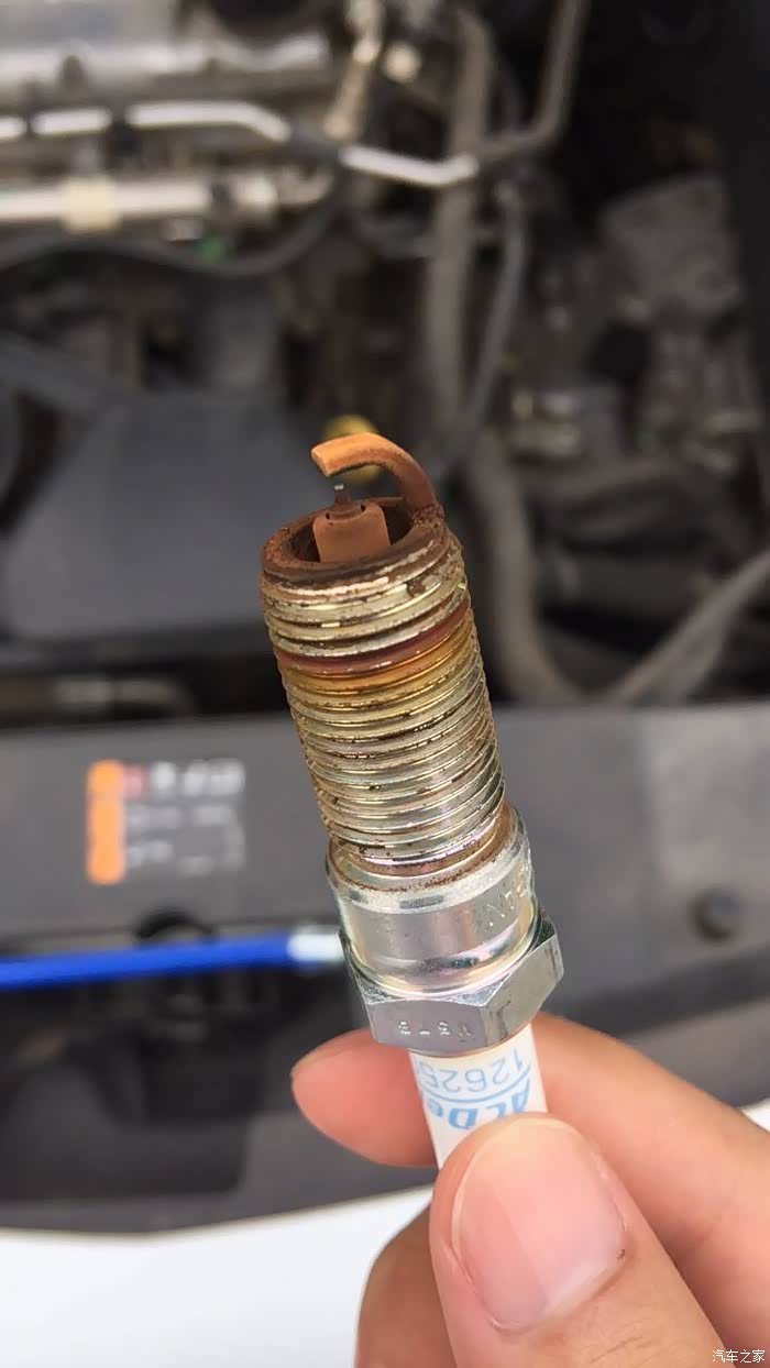大神帮忙看看火花塞烧的可有问题
