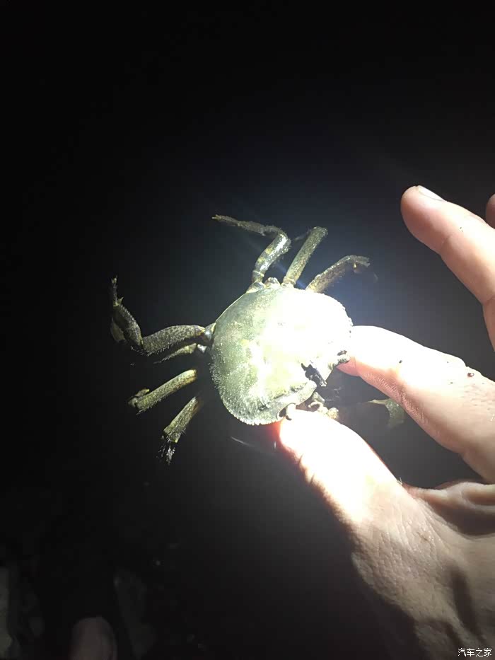 在深秋夜晚去几百公里外山坑里抓螃蟹.