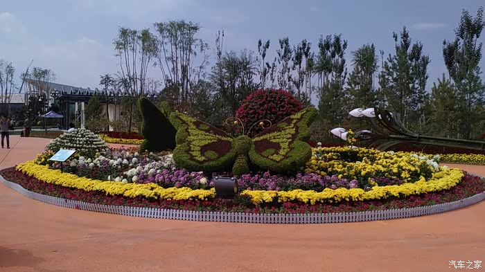 美丽宁夏绿博园我的大白兔传祺gs4