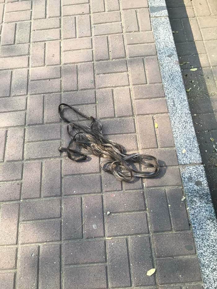 从排气管掏出这个东东,谁能帮忙看看是啥?