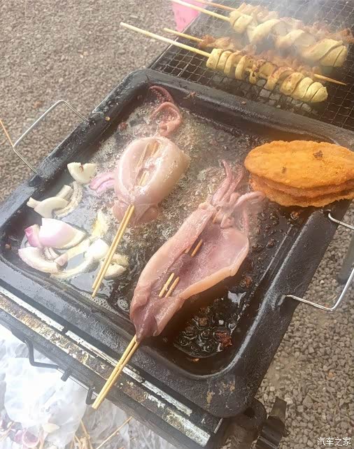 南通思域车友会2015620奔跑吧兄弟城市绿谷烧烤活动串烧帖