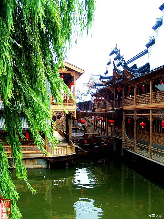 爱在深秋自驾邳州银杏时光大道徘徊台儿庄运河古城