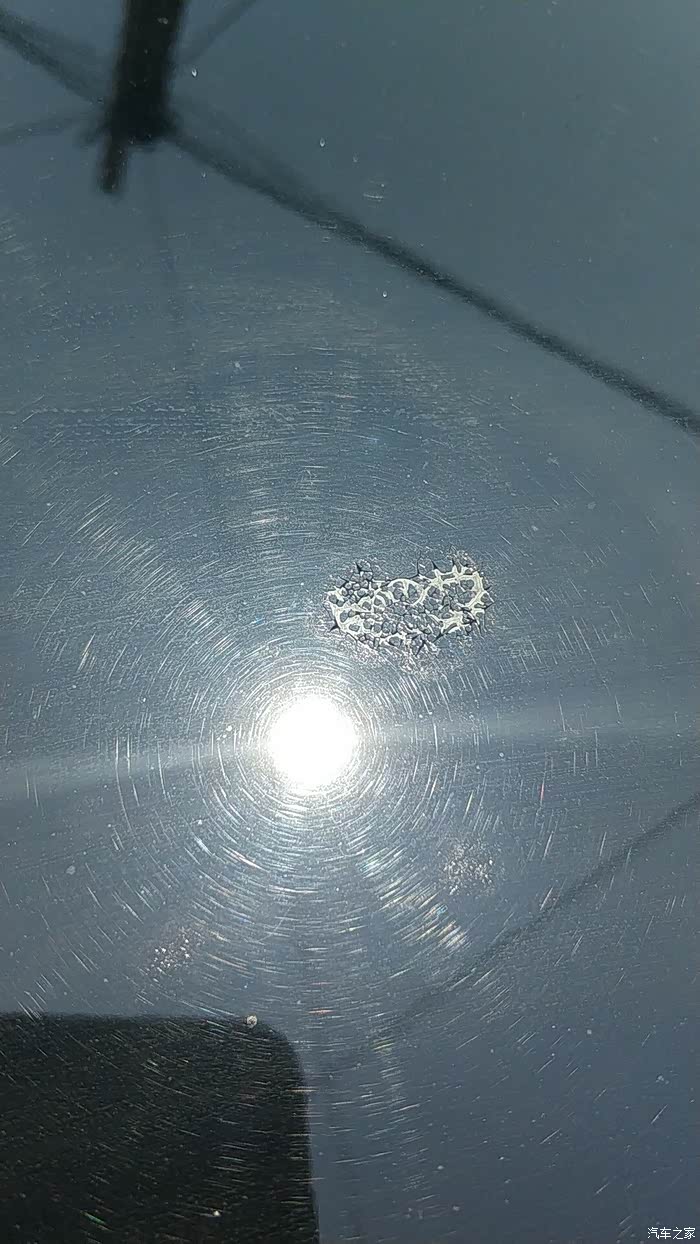 论鸟粪对车漆的危害有多大