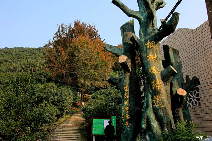 风光温州大罗山红枫古道