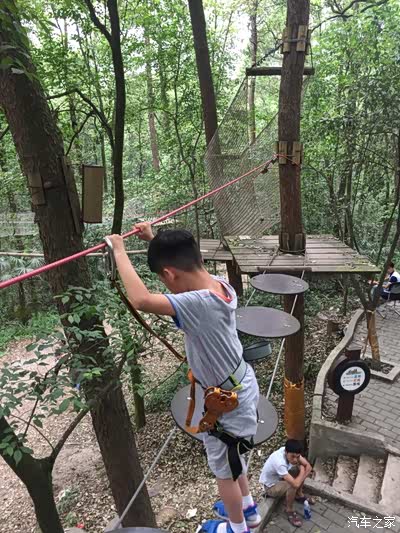 飞越丛林半日游