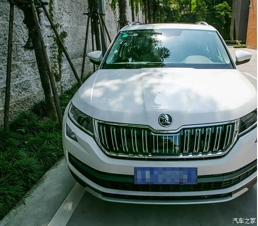 入手科迪亚克熊