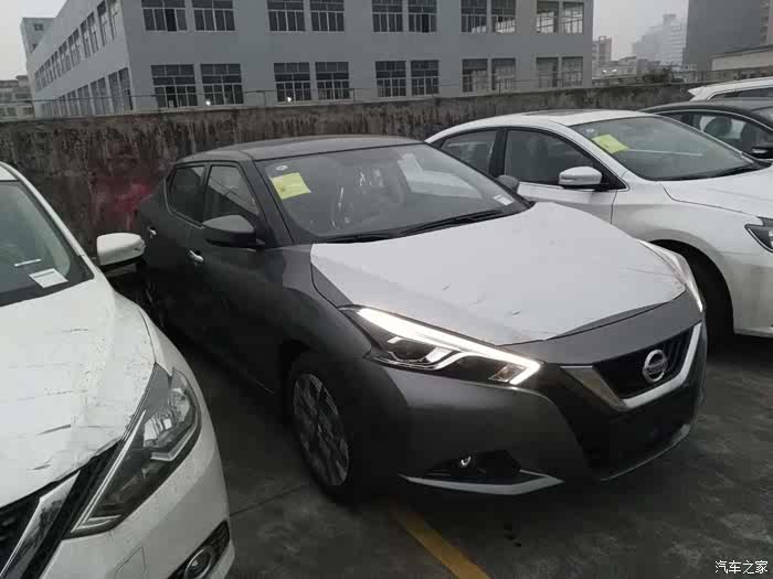 蓝鸟论坛_汽车之家论坛