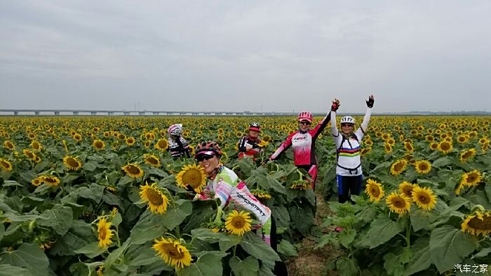 戰火燃擎逐鹿大豐之我和小三遊河間景和農場