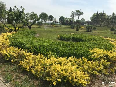 生活虽然一地鸡毛,但仍要欢歌高进