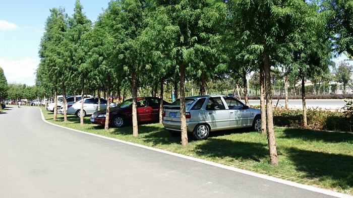 乌龙江湿地公园停车场图片