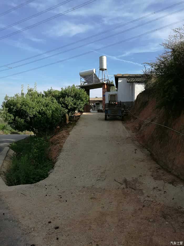 周末富民罗免镇小甸村摘杨梅