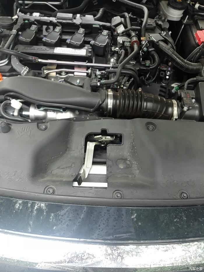 【图】引擎盖怎么开啊,我里面的按钮拉了,_思域论坛_汽车之家论坛
