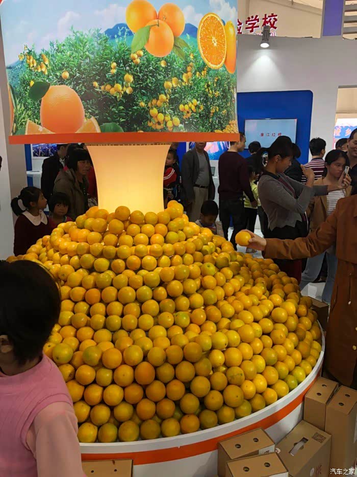 《魅力橙乡,品牌廉江》红橙节我来了!