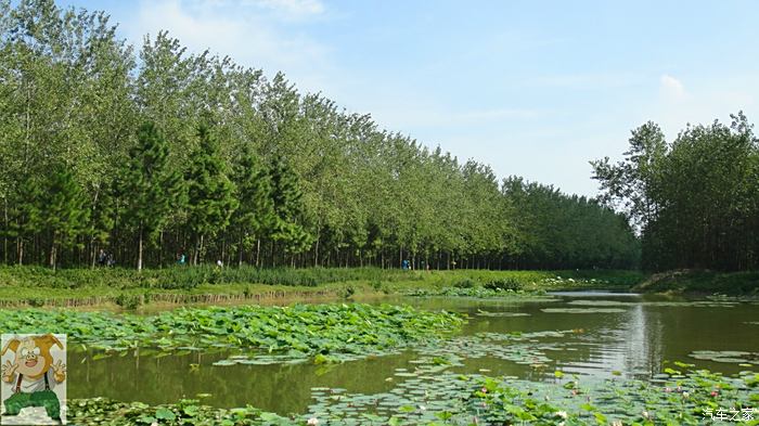 合肥轉悠濱湖溼地森林公園