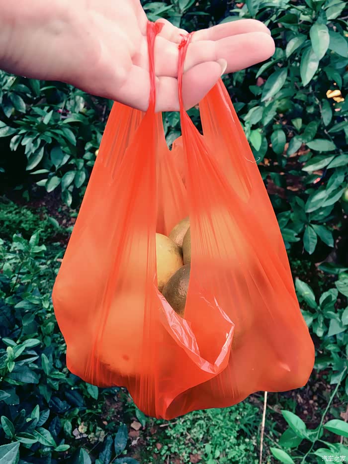 满满一袋,满载而归啊