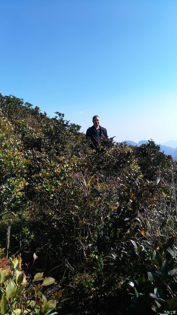 信宜大雾岭之行