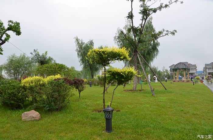 炎热的夏天雨中漫步鞍山祥和园